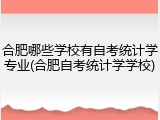 合肥哪些学校有自考统计学专业(合肥自考统计学学校)