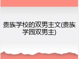 贵族学校的双男主文(贵族学园双男主)