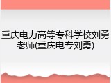 重庆电力高等专科学校刘勇老师(重庆电专刘勇)