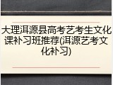 大理洱源县高考艺考生文化课补习班推荐(洱源艺考文化补习)