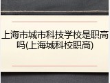 上海市城市科技学校是职高吗(上海城科校职高)
