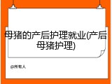 母猪的产后护理就业(产后母猪护理)