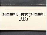 湘潭电机厂技校(湘潭电机技校)