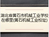 湖北省黄石市机械工业学校在哪里(黄石机械工业校址)