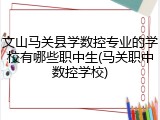 文山马关县学数控专业的学校有哪些职中生(马关职中数控学校)