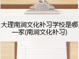 大理南涧文化补习学校是哪一家(南涧文化补习)