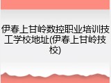伊春上甘岭数控职业培训技工学校地址(伊春上甘岭技校)