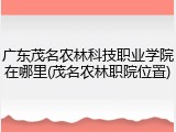 广东茂名农林科技职业学院在哪里(茂名农林职院位置)
