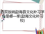 西双版纳勐海县文化补习学校是哪一家(勐海文化补习校)