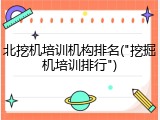 北挖机培训机构排名("挖掘机培训排行")