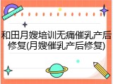 和田月嫂培训无痛催乳产后修复(月嫂催乳产后修复)