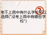 考不上高中有什么学校可以选择("没考上高中有哪些学校")