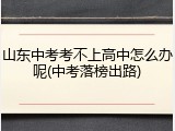 山东中考考不上高中怎么办呢(中考落榜出路)