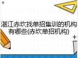 湛江赤坎找单招集训的机构有哪些(赤坎单招机构)
