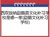 西双版纳勐腊县文化补习学校是哪一家(勐腊文化补习学校)