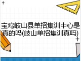 宝鸡岐山县单招集训中心是真的吗(岐山单招集训真吗)