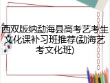 西双版纳勐海县高考艺考生文化课补习班推荐(勐海艺考文化班)