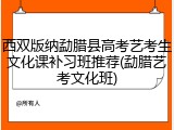 西双版纳勐腊县高考艺考生文化课补习班推荐(勐腊艺考文化班)