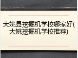 大姚县挖掘机学校哪家好(大姚挖掘机学校推荐)