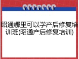 昭通哪里可以学产后修复培训班(昭通产后修复培训)
