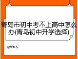青岛市初中考不上高中怎么办(青岛初中升学选择)