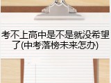 考不上高中是不是就没希望了(中考落榜未来怎办)