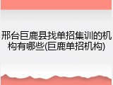 邢台巨鹿县找单招集训的机构有哪些(巨鹿单招机构)