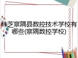 林芝察隅县数控技术学校有哪些(察隅数控学校)