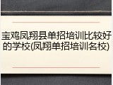 宝鸡凤翔县单招培训比较好的学校(凤翔单招培训名校)