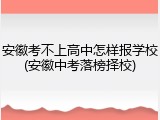 安徽考不上高中怎样报学校(安徽中考落榜择校)