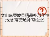 文山麻栗坡县精品补习学校地址(麻栗坡补习校址)