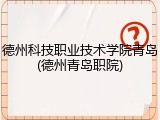 德州科技职业技术学院青岛(德州青岛职院)