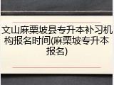 文山麻栗坡县专升本补习机构报名时间(麻栗坡专升本报名)