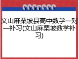 文山麻栗坡县高中数学一对一补习(文山麻栗坡数学补习)