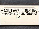 合肥长丰县找单招集训的机构有哪些(长丰单招集训机构)