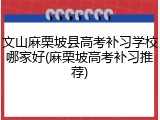 文山麻栗坡县高考补习学校哪家好(麻栗坡高考补习推荐)