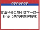 文山马关县高中数学一对一补习(马关高中数学辅导)
