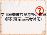 文山麻栗坡县高考补习推荐哪家(麻栗坡高考补习)