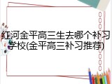 红河金平高三生去哪个补习学校(金平高三补习推荐)