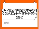 七台河新兴数控技术学校职校怎么样(七台河数控职校如何)