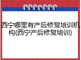 西宁哪里有产后修复培训机构(西宁产后修复培训)