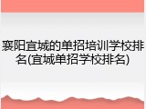襄阳宜城的单招培训学校排名(宜城单招学校排名)