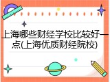 上海哪些财经学校比较好一点(上海优质财经院校)