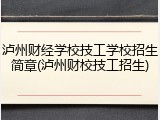泸州财经学校技工学校招生简章(泸州财校技工招生)