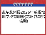 崇左龙州县2026年单招培训学校有哪些(龙州县单招培训)