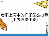 考不上高中的样子怎么办呢(中考落榜出路)