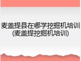 麦盖提县在哪学挖掘机培训(麦盖提挖掘机培训)