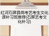 红河石屏县高考艺考生文化课补习班推荐(石屏艺考文化补习)