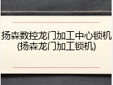 扬森数控龙门加工中心锁机(扬森龙门加工锁机)