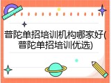 普陀单招培训机构哪家好(普陀单招培训优选)